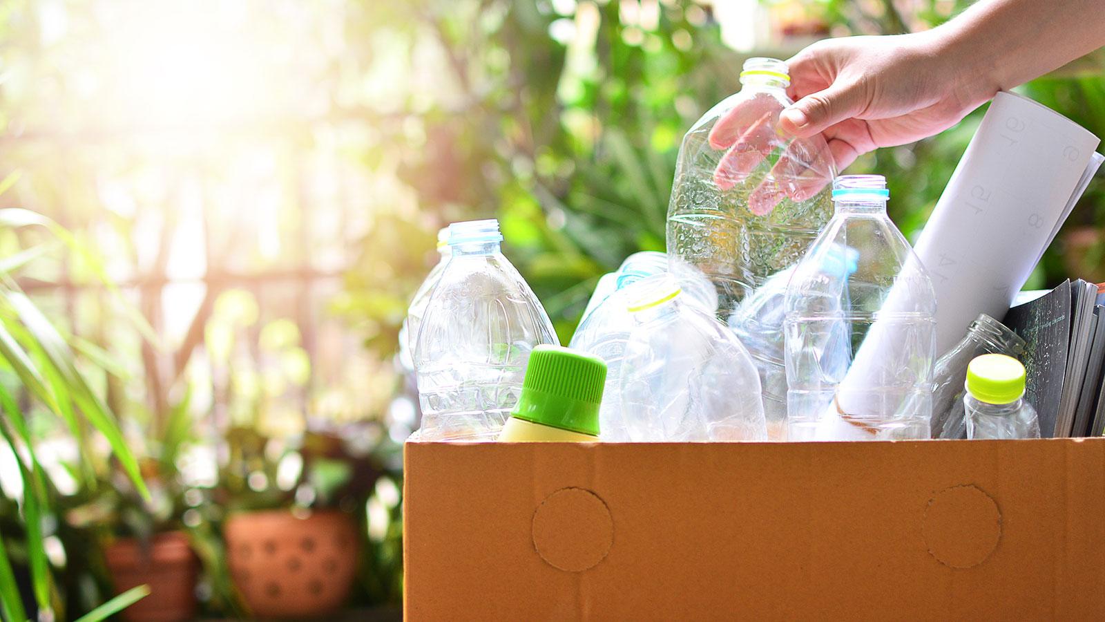 Sustainability in Plastics: The Future of rPET